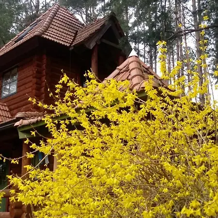 Campingplatz Georgia